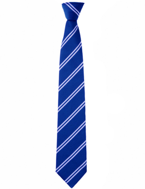 Riddlesdown Collegiate Clip On Tie - Royal Blue Stripe (Year 11 Only)